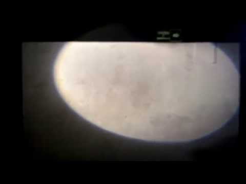 Suellen Ferraz "Semi-Finalista Drag Rainbow" (22-03-14) FULL HD - BY LEH SANUTY