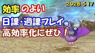 【ドラクエ10生配信No.316】効率のよい日課・週課など　2026.5.17