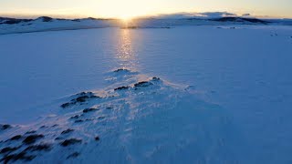 Lamb Of God / Rebecca St James