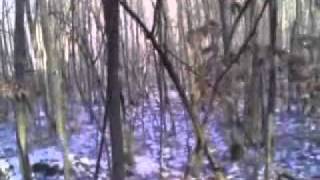 Grails - Stoned At The Taj Again