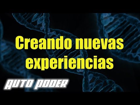 Creando nuevas experiencias