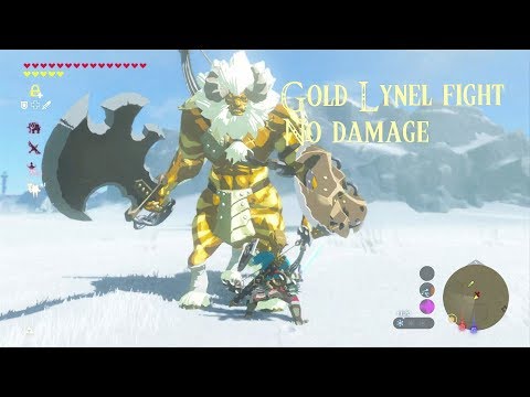 No Damage Gold Lynel Fight