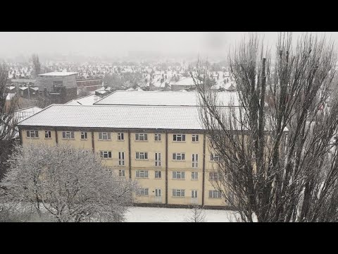 Mini Vlog |breakfast |Lunch |Snack Recipes |Serin Recipe And Vlogs