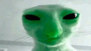 Download lagu 1 hour of memes but you will laugh every second mp3