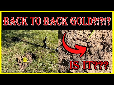 Gold Rings in consecutive holes? Man using metal detector goes into shock! Minelab Manticore is king