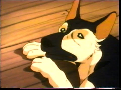 Call of the Wild: Howl Buck (1983) VHS Upscaled