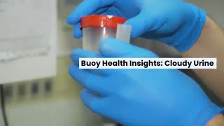 Cloudy Urine: Common Causes and When to Seek Medical Care | BuoyHealth.com