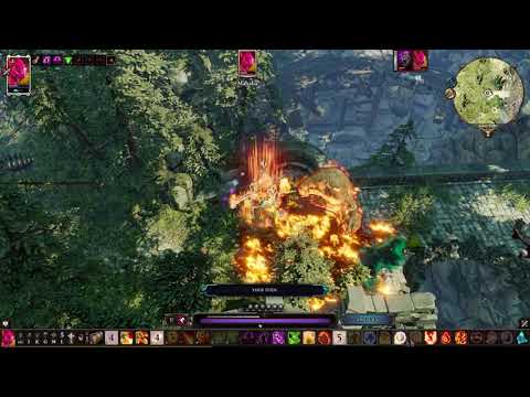 Divinity Original Sin 2. Solo; No Lone wolf; No gift bag; Tactician . Level 10 vs level 18.