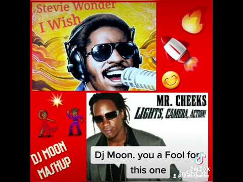 Dj Moon Stevie Wonder-Mr. Cheeks "I Wish" Mash-up