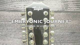 EMBRYONIC JOURNEY   (Arrang, di LEO KOTTKE)