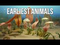 Precambrian Creatures: The First Animals