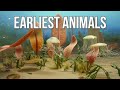 Precambrian Creatures The First Animals