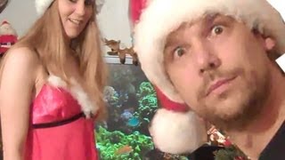 MistleToe - Funny Christmas Song!