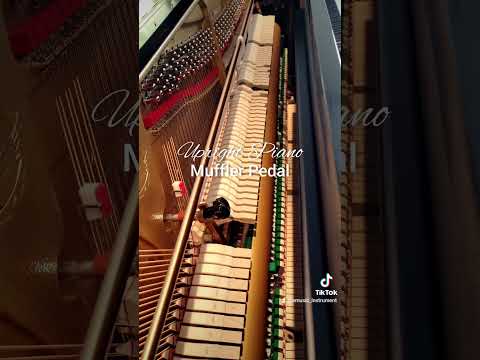 Differences Between Grand & Upright Pianos Pt  4