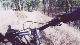 A little downhill action from the top of Lower Dadd Gulch.