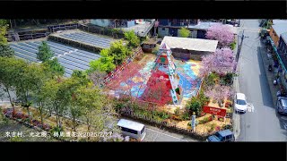 來吉村、光之樹 與周遭花況 2025/2/27(空拍)
