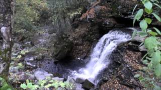 preview picture of video 'Bear Run Falls, Jamison City, PA'