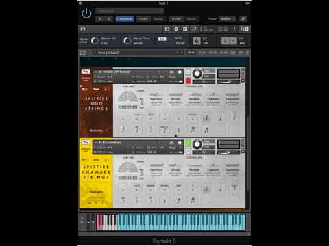 Spitfire Solo Strings + Chamber Strings spiccato/pizzicato