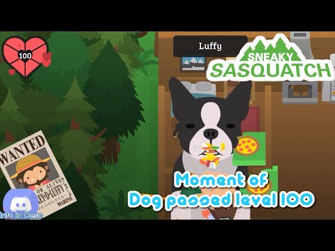 Sneaky Sasquatch News - Dog passed level 100