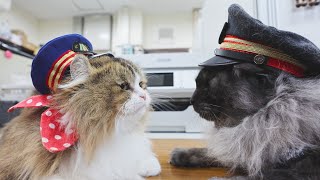 #62 はじめましてだにゃ!「ふにゃ~り日和」