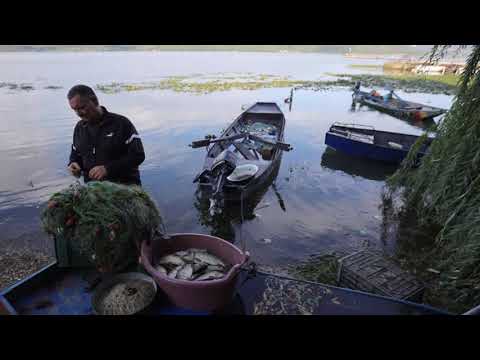 Dunărea la Mehedinți