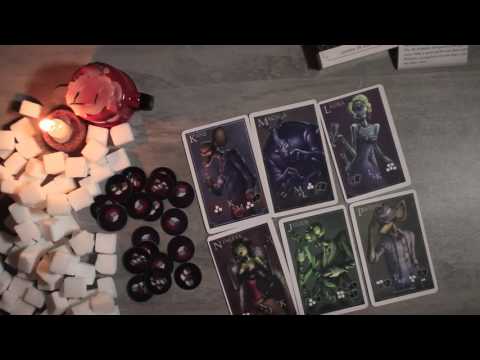 Rotfather - Intrigas!