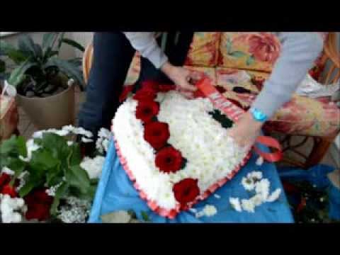 download lagu mp3 mp4 Heart Shaped Oasis, download lagu Heart Shaped Oasis gratis, unduh video klip Heart Shaped Oasis