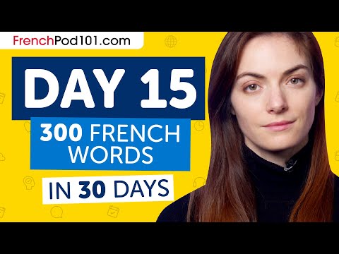 Day 15: 150/300 | Learn 300 French Words in 30 Days Challenge