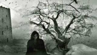 كلمات اغنية القلوب الطيبه عبد العزيز المنصور