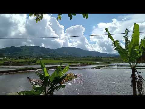 ranah Minang ranah bundo