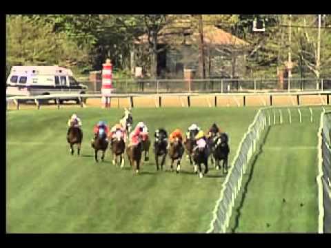 Pimlico 05/03/15 race 5