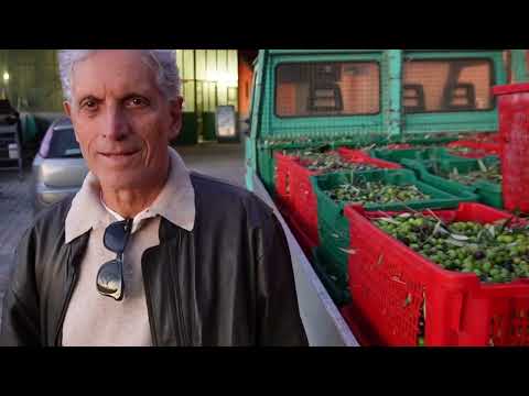 Azeite na Italia- Una giornata al Mulino