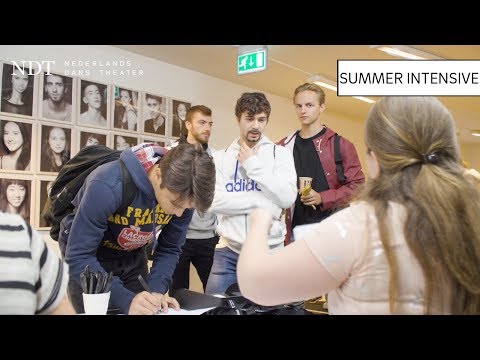 NDT Summer Intensive 2017 Start