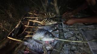Download lagu BAKAR IKAN HASIL MANCING mp3