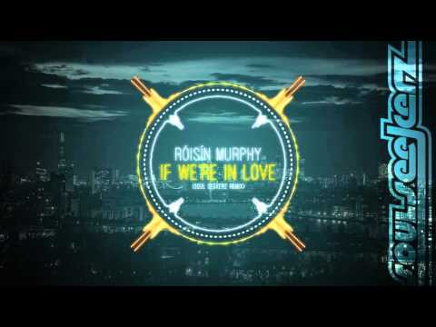 Roisin Murphy - If We're In Love (Soul Seekerz Remix)