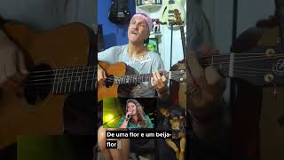 A Flor e o Beija Flor / Marília Mendonça -Sertanejo