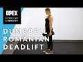 Dumbbell Romanian Deadlift  - OPEX Exercise Library