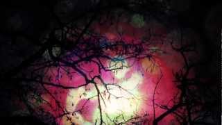 Richard Hawley - Down In The Woods (edit)