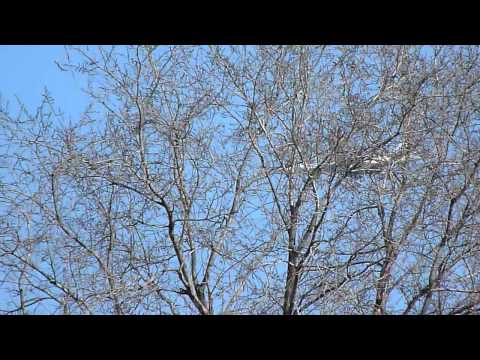 ТУ 160  Валерий Чкалов