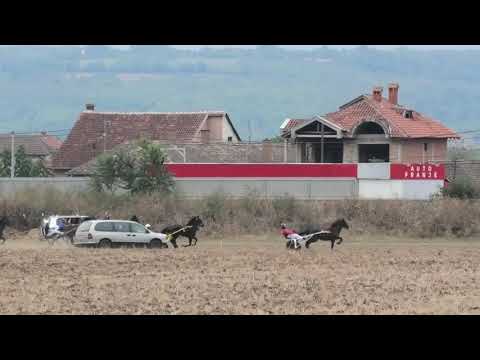 Trka "Filip-Agro zaštita" 06.10.2019 Equilan - Aleksandar Dimitrijević