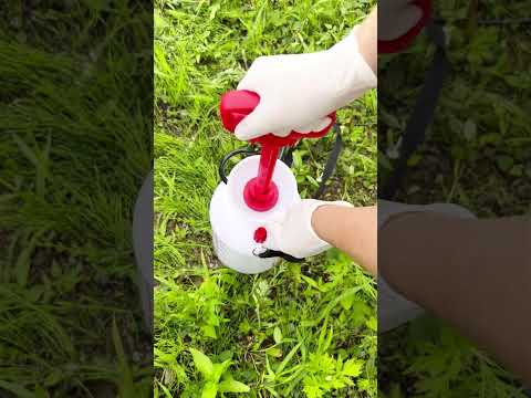 スラブ間の除草方法は？化学的または自然のどちらの方法を好むべきですか?  庭園