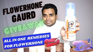 Best Product for Flowerhone Fish | Flowerhone Gaurd | Flowerhone fish care