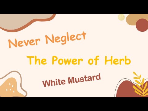 Análise de Ervas 47