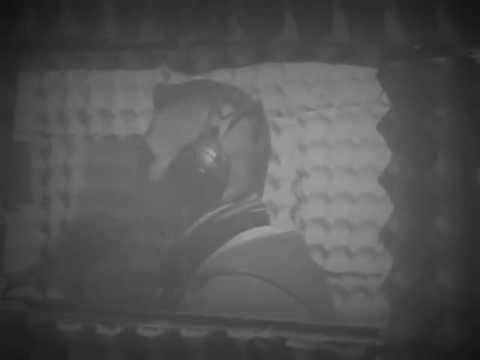 Nenuco ft Isma  Tubas Lume no ar (OFFICIAL VIDEO) 2012.mov