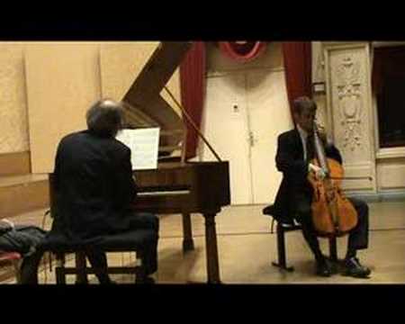 Schubert Arpeggione Sonata on arpeggione (excerpt)