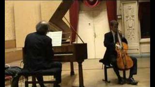 Schubert Arpeggione Sonata on arpeggione (excerpt)