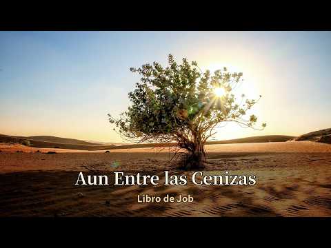Aun Entre las Cenizas (Libro de Job) | Alabanza Católica par…