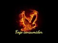 FOGO CONSUMIDOR FERNANDINHO LETRA