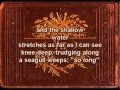 Joanna Newsom - Only Skin (with lyrics) [full ...