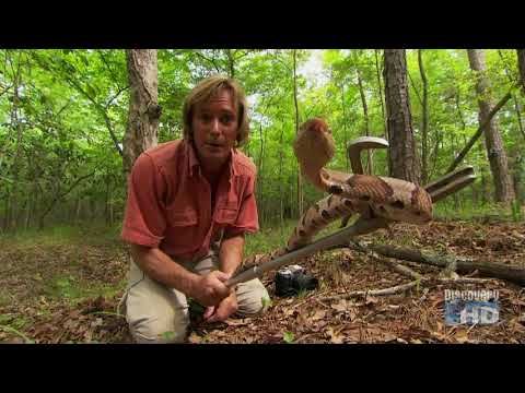 Austin Stevens - Snakemaster - In Search of Monster Rattlers